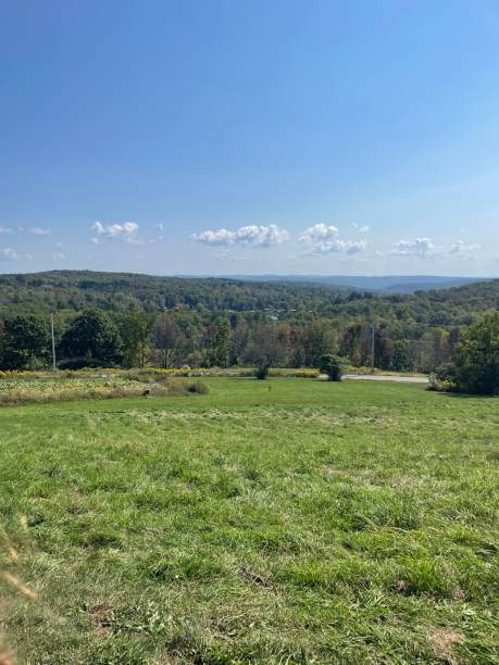 istock Blue sky and Countryside 2186898289