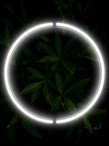istock Dark background tree leaves. natural background pattern with glowing neon light and circle frame. 2186906812