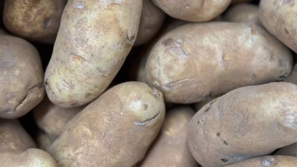 istock Russet Potatoes stacked at the market 2186906988