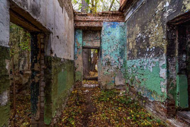 istock The ruins of a building 2186907654