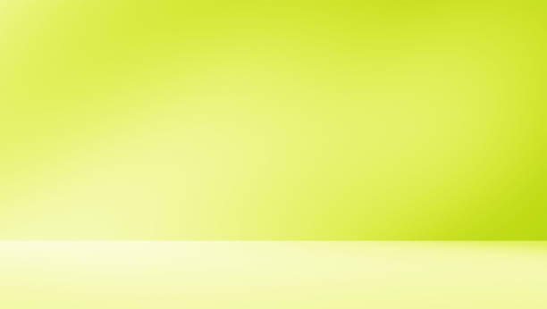 istock Empty green room studio with sunlight effect shadow of leaves. 2186909537