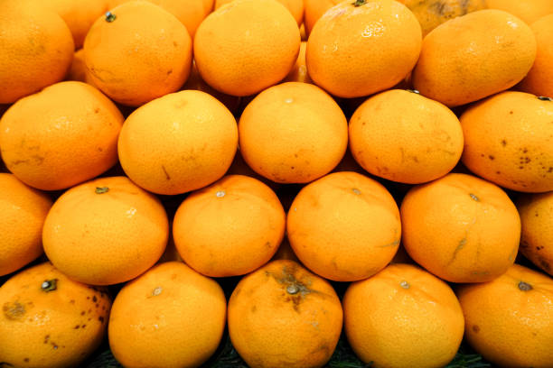 Fresh mandarin orange sell in market stall. Background and texture.