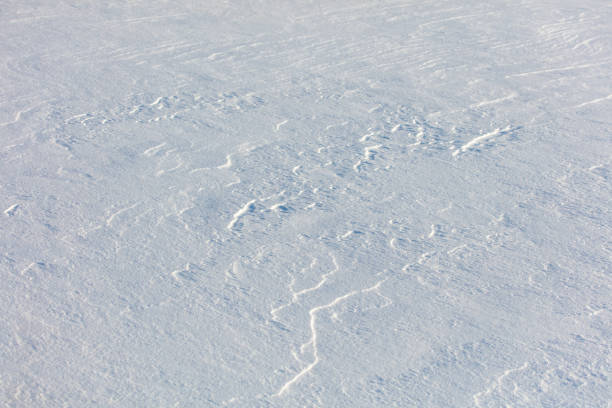 The snow is a bright white color and it covers the ground in a thick layer. The snow is so deep that it almost reaches the ground, creating a beautiful and serene winter landscape