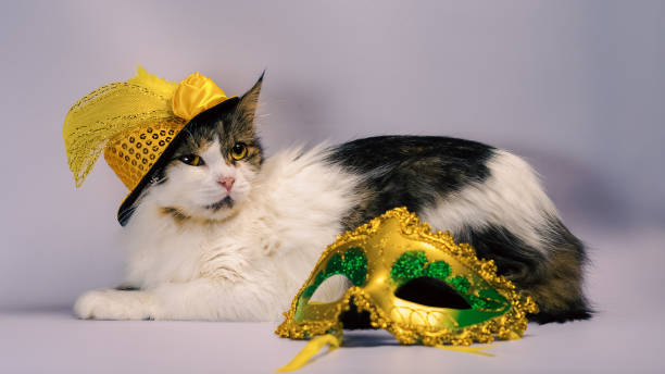 wicked cat in a yellow carnival hat with sequins bow and a feather next to a mask and Christmas balls