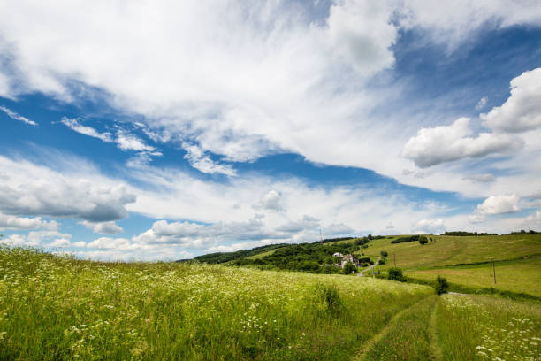 istock Landscape with green grassland and sky 2186928457