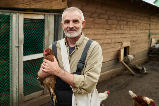 istock Senior male farmer with brown chicken 2186929373
