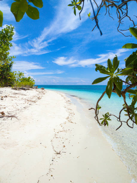 istock White beach in Camiguin Island, Philippines. 2186931611