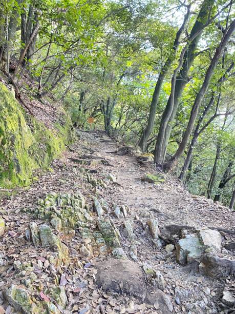 istock Scenic forest trail with rocky terrain. 2186932039