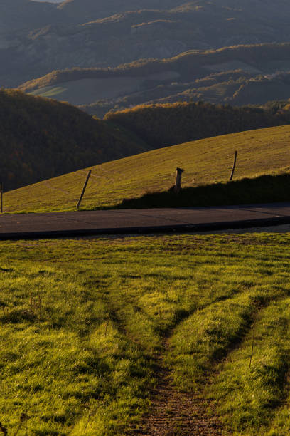asphalt way view on a steppe land in kırşehir middle anatolia turkey, there are Agriculture planting areas with adobe house in village in kırşehir turkey in a sunny day.