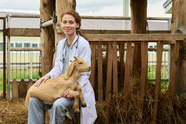 istock Happy young vet clinician with goat 2186932268