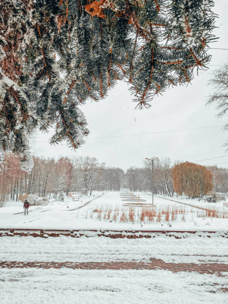 istock Winter Landscape with Snow-Covered Pine Branches and Park View 2186933239