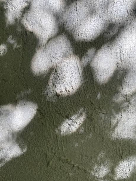 istock Leaves shadow background on concrete wall texture, leaves tree branches shade with sunlight 2186934702