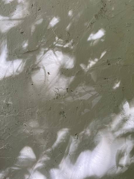 istock Leaves shadow background on concrete wall texture, leaves tree branches shade with sunlight 2186934707