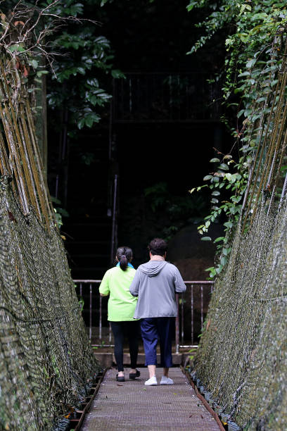 Two Asian senior woman are enjoying hiking at nature reserve forest
