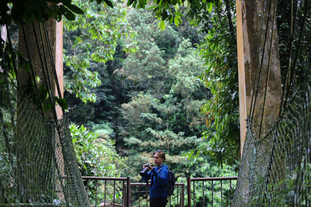 istock Hiking Enjoying Nature 2186937801