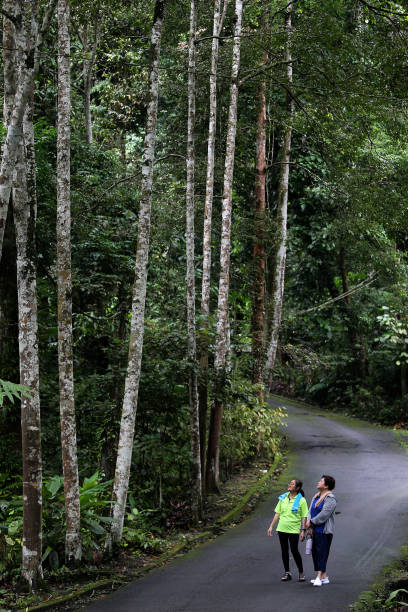 istock Hiking Enjoying Nature 2186937853