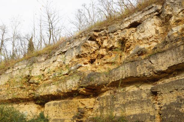 istock Rugged cliff with small leafless trees and dry grass against the grayish sky 2186940248