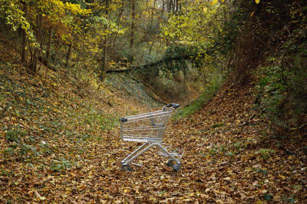 An empty shopping cart in an autumn forest setting