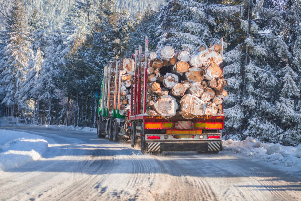 istock Heavy Truck Transporting Snow-Covered Logs Through Winter Landscape 2186948295