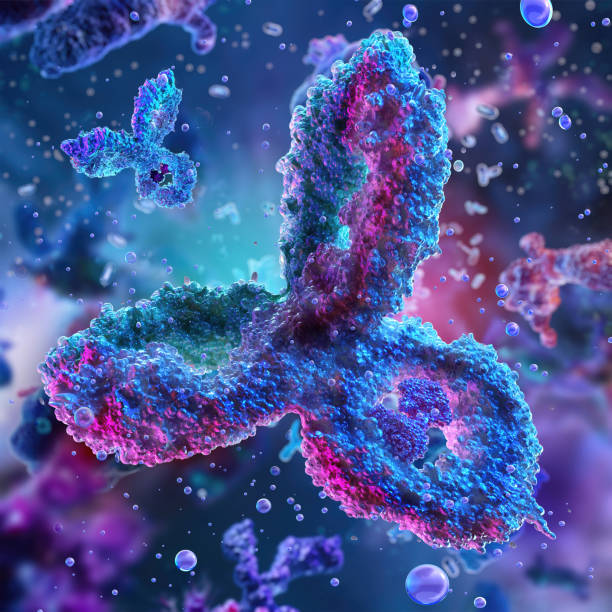 istock Antibodies, immunoglobulin Ig proteins 3D medical image. 2186951095