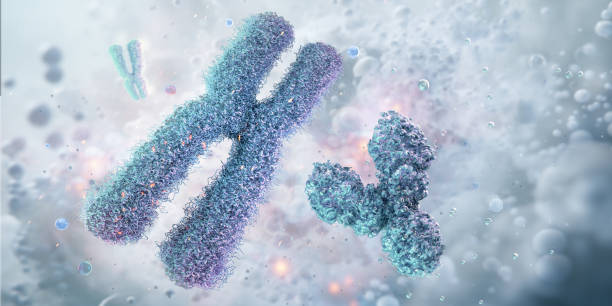 istock Human X Y chromosomes, karyotype, structure, division. 2186951102