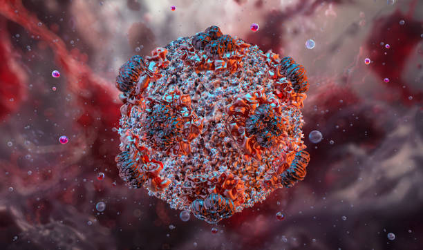 istock Hantavirus 3D viral structure, RNA virus transmitted to humans through rodent excreta. 2186951140