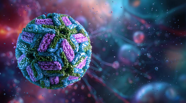 Scientifically accurate Zika virus close-up. Zika virus, aedes aegypti mosquito flavivirus RNA virion Scientifically accurate Zika virus close-up. Zika virus, aedes aegypti mosquito flavivirus RNA virion. Highlights epidemic, vaccine research, microcephaly disease prevention, health impact. Medical 3D malaria blood sample stock pictures, royalty-free photos & images