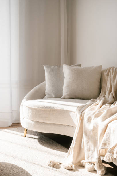 istock Cozy modern living room with soft sofa and warm sunlight streaming in 2186953062