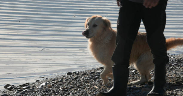 Man and dog walk down rocky beach, Liguria