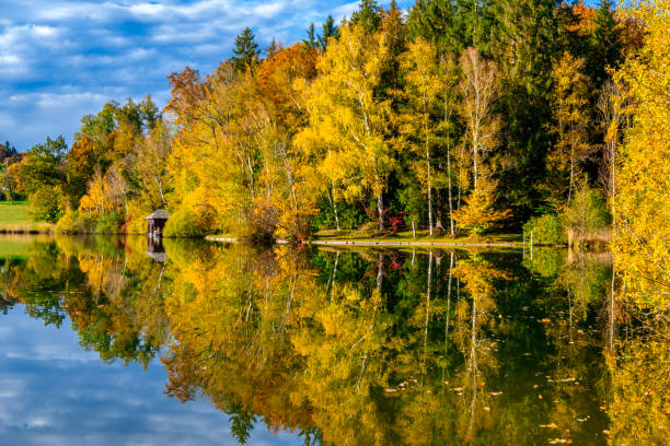 Autumn mood at the Haarsee, near Weilheim, Pfaffenwinkel, Alpine Foreland, Upper Bavaria, Bavaria, Germany, Europe