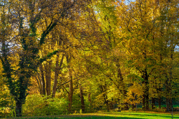 istock Schacky Park in Diessen am Ammersee, Bavaria, Germany 2186954948