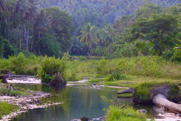 View of a shallow river flowing through a valley among dense trees and bushes.