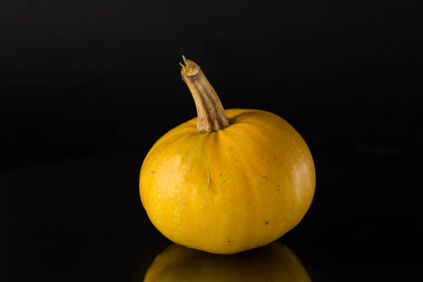 round small pumpkin isolated on black background .