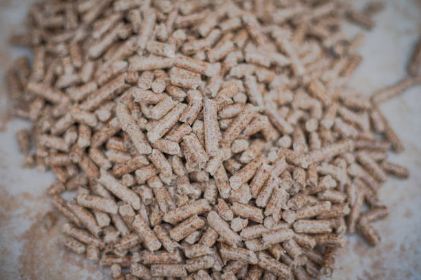 Wood briquettes for firewood, pellets