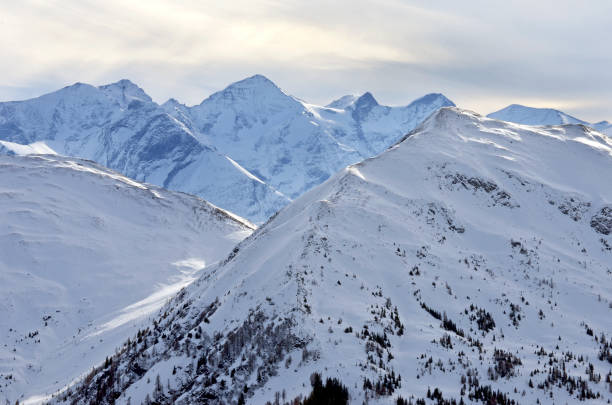 istock Thea alpes in Austria 2186959998
