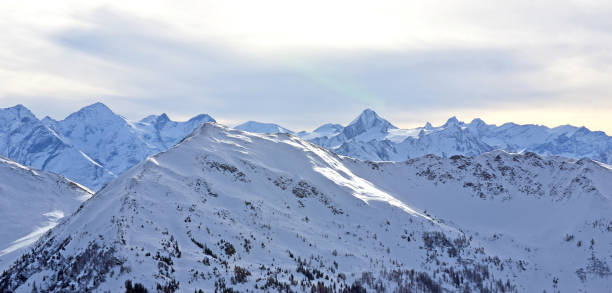 istock Thea alpes in Austria 2186960144
