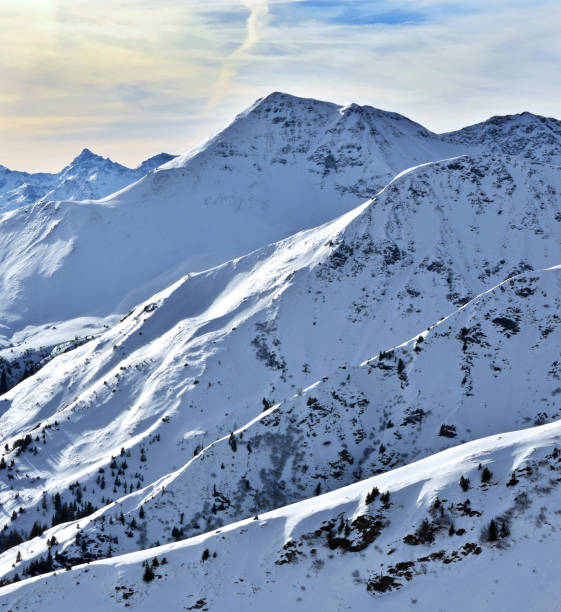 istock Thea alpes in Austria 2186960147