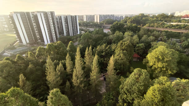 greenery, trees, and buildings in the mix
