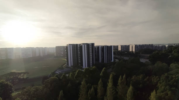 istock greenery, trees, and buildings in the mix 2186961498