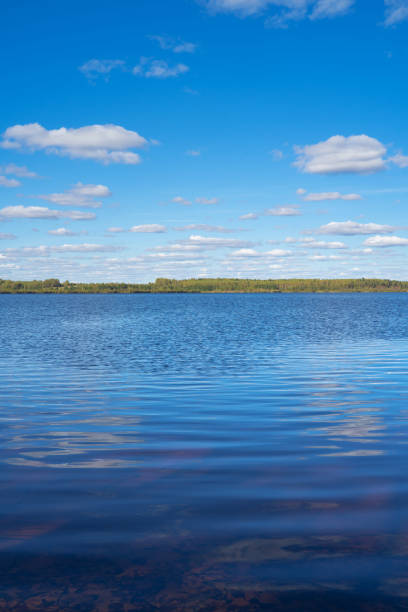 Lake and forest in evening light, Lake Siljan, Central Sweden