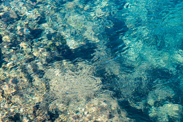 istock Underwater Clarity: A Glimpse of the Marine World 2186966804
