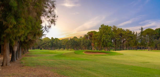 istock A serene golf course lined with tall trees, illuminated by the soft glow of an evening sky, offering a tranquil outdoor escape. 2186967981