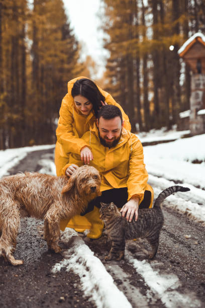 istock Lovely Girlfriend Hugging Boyfriend From Behind While Playing With Their Cute Pets 2186971650