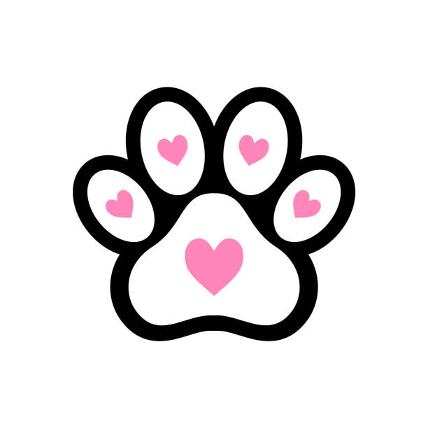 istock Paw print outlined in bold black, with pink hearts embedded in the pads. 2186974248