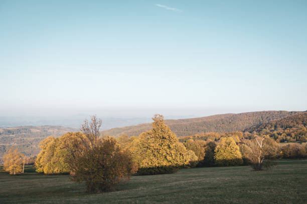 National Park Fruska Gora in Serbia, autumn in Novi Sad, Vojvodina, Serbia