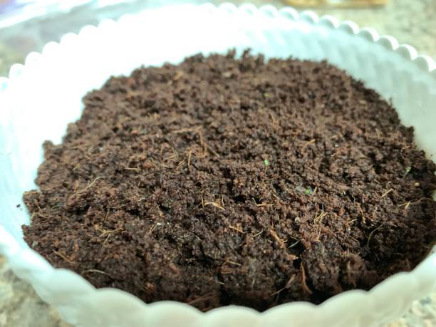 istock Close-Up of Fresh Potting Soil 2186975747