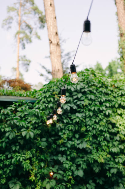 istock Beautiful electric garland on greenery background, wedding ceremony decoration. 2186980997