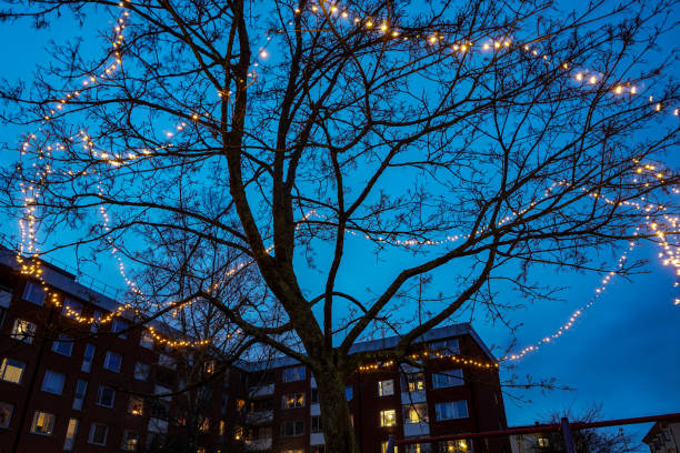 istock Low angle of a tree with light decoration during night 2186989718