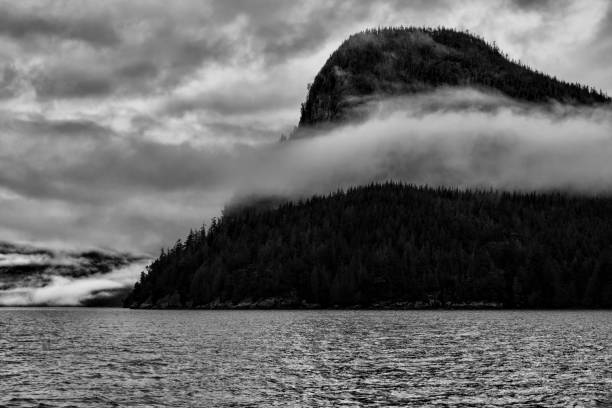 istock Vancouver Island 2024 2186992640