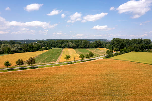 istock Rural landscape with road 2186996601